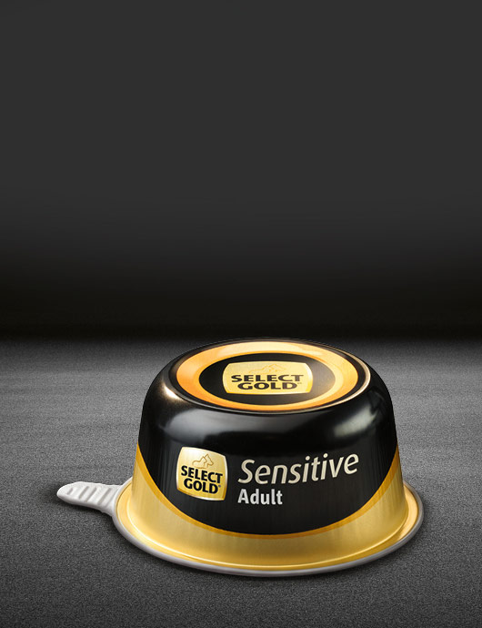 select gold sensitive adult huhn mit reis schale nass 530x890px