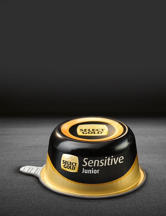select gold sensitive junior huhn mit reis schale nass 530x890px