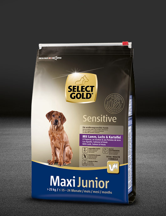 select gold sensitive maxi junior mit lamm%2C lachs und kartoffel beutel trocken 530x890px