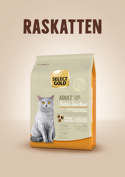 Raskatten