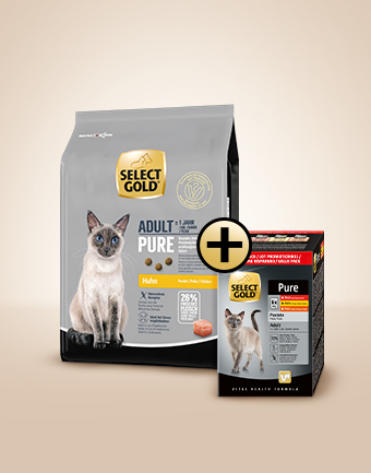 select gold pure adult set 340x433px
