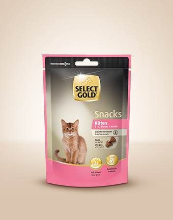 select gold kitten snack 340x433px